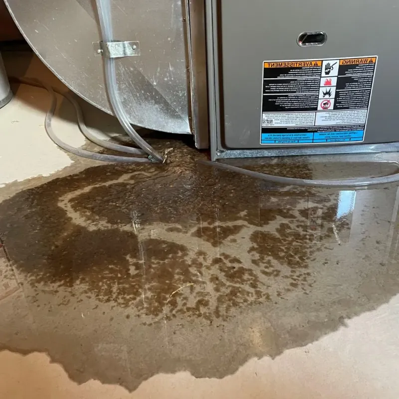 Pipe Burst and Leak Restoration in South Jordan, UT